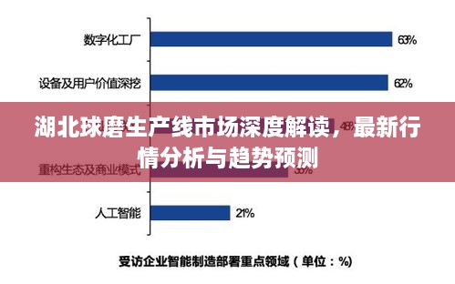 湖北球磨生產(chǎn)線市場(chǎng)深度解讀，最新行情分析與趨勢(shì)預(yù)測(cè)
