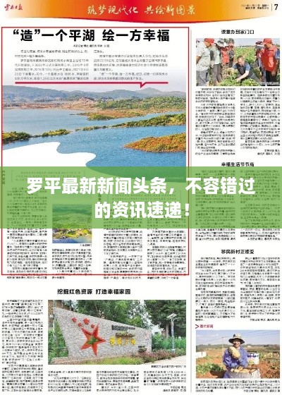 羅平最新新聞頭條，不容錯過的資訊速遞！